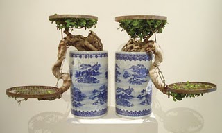 Chinese Bonsai Tree