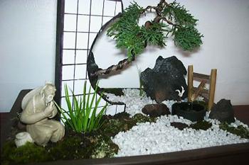 Chinese Bonsai Art Chinese Bonsai Art