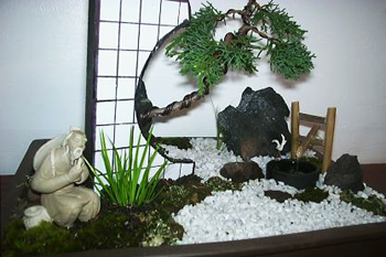 Chinese Bonsai Art