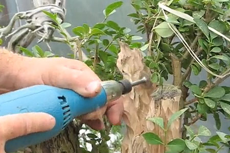 deadwood_techniques9
