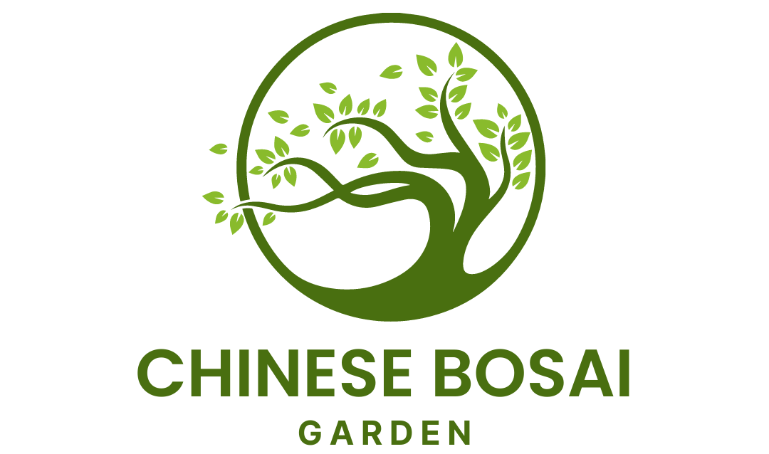 Chinese Bonsai Garden